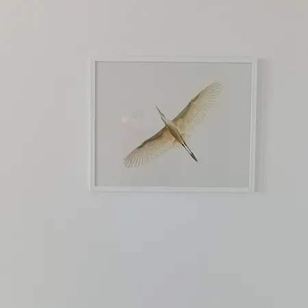 Czaple Na Muchoborze By Na Dni