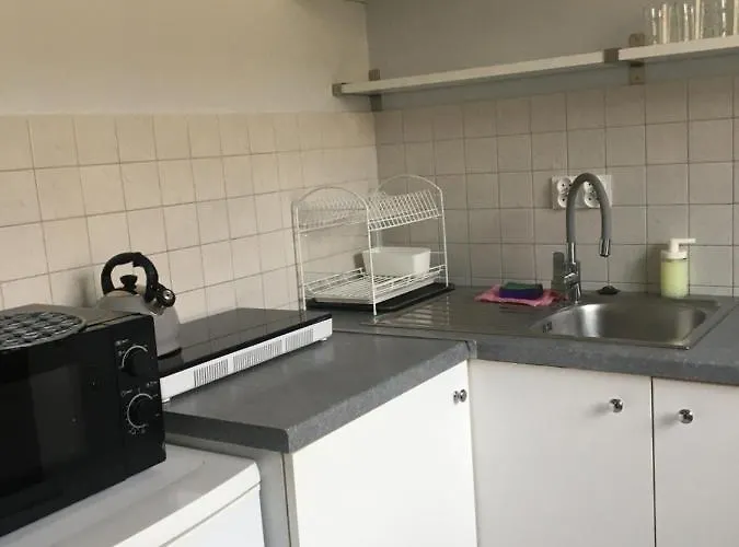 Czaple Na Muchoborze By Na Dni * Vratislav